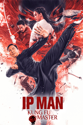 Ip Man Kung Fu Master